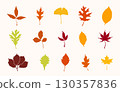 Fall leaves svg, Autumn Leaves svg, Fall leaves svg, Autumn leaves illustration, Fall leaves vector illustration. 130357836