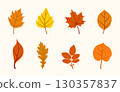A collection of colorful autumn leaves vector illustration, Colorful autumn leaves vector set, print design, and digital artwork. 130357837