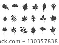 Autumn leaves silhouette collection in white background, Autumn leaves svg, Autumn silhouettes, Fall leaves svg bundle, Fall leaves vector. 130357838