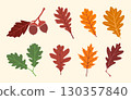 Oak leaves with acorns svg, Oak leaves vector illustration in white background, Oak leave drawing. 130357840
