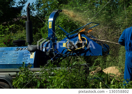 An operator loads tree branches into a wood chipper. An operator loads tree branches into a wood chipper. 130358802
