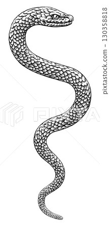 Snake Coiled Serpent Vintage Style Illustration Snake Coiled Serpent Vintage Style Illustration 130358818