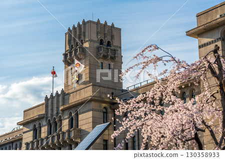 Spring scenery of Kyoto City Hall main building decorated with cherry blossoms 130358933