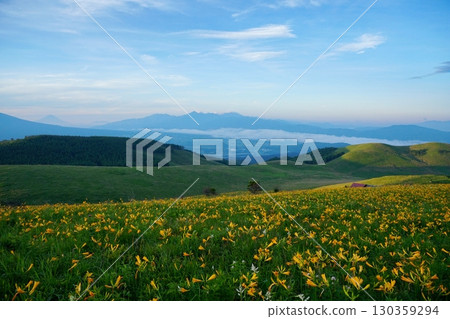 View from Kirigamine Fujimidai, covered in Hemerocallis flowers with Mount Fuji and the Southern Alps in the background. Ver. 3 130359294