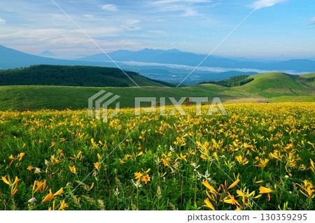 從霧峰富士見台眺望,萱草花開遍野,富士山和南阿爾卑斯山映入眼簾。 Ver.2 從霧峰富士見台眺望,萱草花開遍野,富士山和南阿爾卑斯山映入眼簾。 Ver.2 130359295