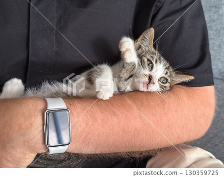 Kitten resting calmly in arms of man with beard outdoors. Trust, safety, and emotional comfort through human animal interaction. 130359725