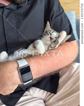 Kitten resting calmly in arms of man with beard outdoors. Trust, safety, and emotional comfort through human animal interaction. 130359726