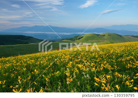 Scenery from Fujimidai, Kirigamine Plateau, covered in Hemerocallis flowers with the Southern Alps in the background. Ver. 2 130359795