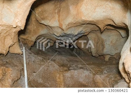 Inside the Jomon Cave (Gujo City, Gifu Prefecture) Inside the Jomon Cave (Gujo City, Gifu Prefecture) 130360421