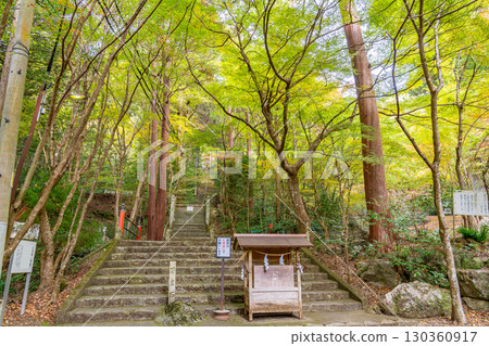 岐阜縣美濃市 - 秋季大矢田神社參道上的百洞石 130360917