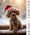 Puppy Christmas wearing a Santa hat 130361304