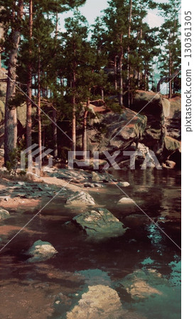 A river courses among numerous rocks in a dense forest setting. 130361305