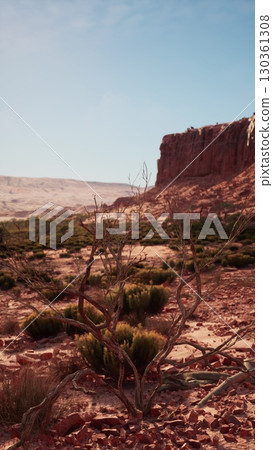 A view of a desert area in Nevada featuring a prominent rock formation in the background under the clear sky. A view of a desert area in Nevada featuring a prominent rock formation in the background under the clear sky. 130361308