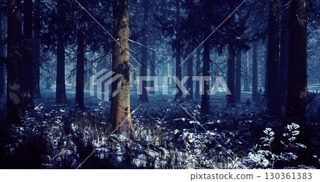 An enchanting winter forest features lush, tall trees draped in snow. Shadows cast by the fading light add a mystical ambiance to the serene landscape, creating a tranquil atmosphere. 130361383