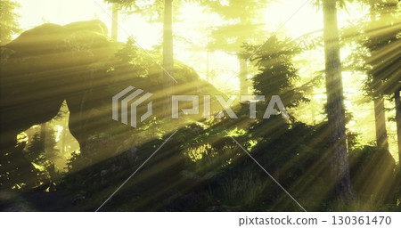 Sunlight streams through tall trees in a dense forest, illuminating rocks and greenery. The serene atmosphere invites relaxation and reflection in natures embrace. Sunlight streams through tall trees in a dense forest, illuminating rocks and greenery. The serene atmosphere invites relaxation and reflection in natures embrace. 130361470