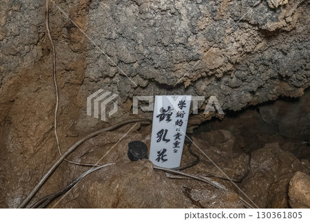 Inside the Jomon Cave (Gujo City, Gifu Prefecture) Inside the Jomon Cave (Gujo City, Gifu Prefecture) 130361805