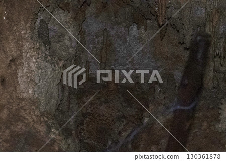 繩文洞窟內部（岐阜郡郡上市） 130361878