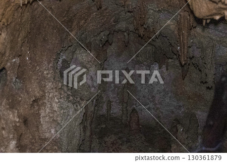 繩文洞窟內部（岐阜郡郡上市） 130361879