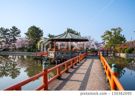 休華公園的櫻花(三重縣桑名市) 休華公園的櫻花(三重縣桑名市) 130362095