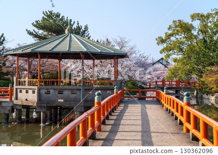 休華公園的櫻花(三重縣桑名市) 休華公園的櫻花(三重縣桑名市) 130362096