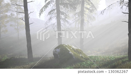 A tranquil forest is filled with mist as sunlight breaks through the branches of tall trees. A large moss covered rock sits among the vibrant greenery, adding to the serene atmosphere. A tranquil forest is filled with mist as sunlight breaks through the branches of tall trees. A large moss covered rock sits among the vibrant greenery, adding to the serene atmosphere. 130362267