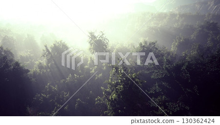 A serene forest emerges from the depths of early morning fog, with tall trees and vibrant foliage shrouded in mist. The atmosphere evokes a sense of peace and mystery. A serene forest emerges from the depths of early morning fog, with tall trees and vibrant foliage shrouded in mist. The atmosphere evokes a sense of peace and mystery. 130362424