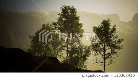 Tall trees rise proudly against a soft, golden glow emerging from the background. The tranquil morning light highlights their lush green leaves, creating a peaceful atmosphere in nature. Tall trees rise proudly against a soft, golden glow emerging from the background. The tranquil morning light highlights their lush green leaves, creating a peaceful atmosphere in nature. 130362430