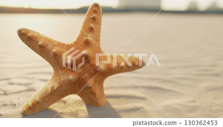 A starfish lies comfortably on golden sand as the warm hues of sunset reflect on the water. Waves gently lap at the shore, creating a peaceful atmosphere in this coastal scene. 130362453