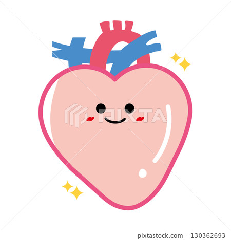 Human organ character: healthy heart 130362693