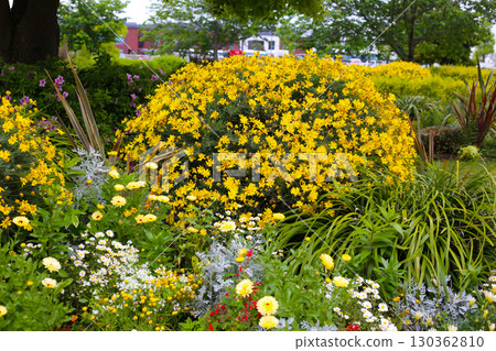 A variety of colorful flowers in full bloom at a park in Japan 130362810