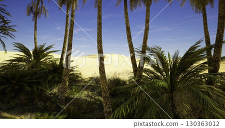 Vibrant palm trees tower over a tranquil oasis, creating a serene getaway against the golden sand dunes and clear blue sky. Natures beauty invites exploration and adventure. 130363012