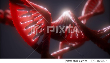 Crimson strands twist and turn elegantly, revealing the intricate architecture of DNA. The luminescence highlights details, showcasing the elegance of genetic material at a microscopic level. Crimson strands twist and turn elegantly, revealing the intricate architecture of DNA. The luminescence highlights details, showcasing the elegance of genetic material at a microscopic level. 130363026