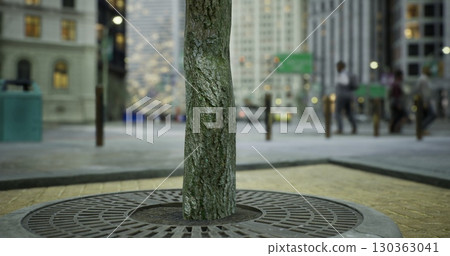 In the heart of a bustling city, an urban tree stands tall with its textured bark prominently displayed. Surrounded by modern architecture, it highlights natures resilience and beauty. 130363041