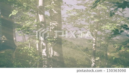 Golden rays cascade through vibrant green leaves, illuminating a tranquil forest scene. Grass sways gently under the soft breeze, creating a peaceful atmosphere amid natures beauty. Golden rays cascade through vibrant green leaves, illuminating a tranquil forest scene. Grass sways gently under the soft breeze, creating a peaceful atmosphere amid natures beauty. 130363098