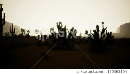 Golden light filters through the desert landscape as dusk settles, highlighting the silhouettes of various cacti and rocky formations in the distance, creating a serene atmosphere. 130363104