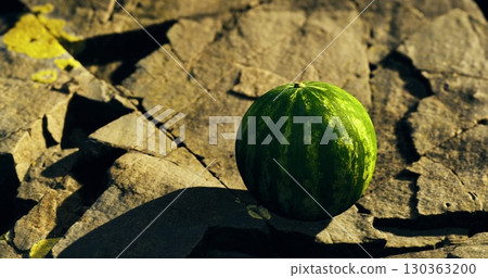A vibrant green watermelon sits alone on a textured stone surface, casting shadows in the warm sunlight. Surrounding it are scattered autumn leaves, enhancing the rustic feel of the moment. 130363200