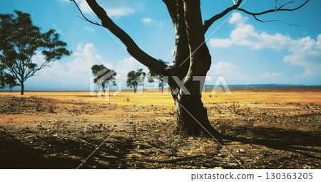 A solitary tree is showcased against a vast, arid landscape. The dry ground stretches endlessly, accentuated by a few scattered trees under a bright blue sky filled with fluffy clouds. A solitary tree is showcased against a vast, arid landscape. The dry ground stretches endlessly, accentuated by a few scattered trees under a bright blue sky filled with fluffy clouds. 130363205