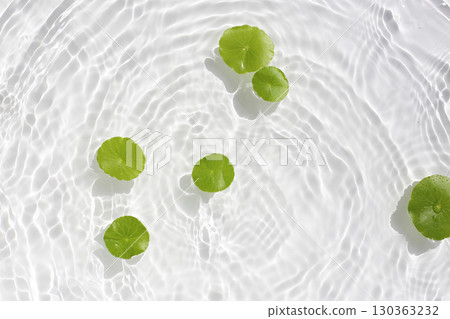 Green centella leaves floating gently in clear rippling water. 130363232