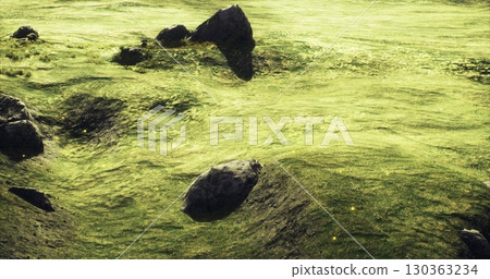 A vibrant green landscape stretches into the distance, with gentle hills and scattered rocks creating a serene and captivating atmosphere. Soft light casts delicate shadows across the terrain. 130363234