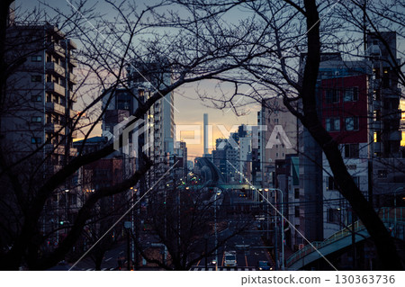 Sunset view and tower seen from the tree tunnel Sunset view and tower seen from the tree tunnel 130363736