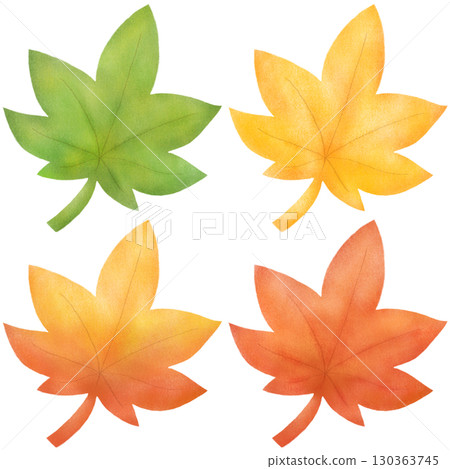 樹葉由綠色變紅的插圖 樹葉由綠色變紅的插圖 130363745