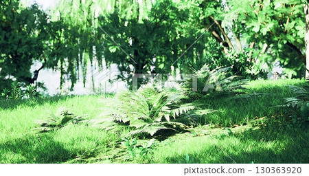 Soft sunlight filters through thick foliage, highlighting a lush expanse of green grass and delicate ferns in an idyllic landscape that feels alive and rejuvenating during the afternoon. 130363920