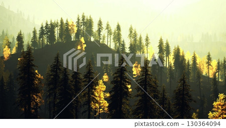 Sunlight filters through tall trees in a forest during autumn. Golden leaves contrast with dark evergreens, creating a serene and picturesque landscape that showcases natures beauty. 130364094
