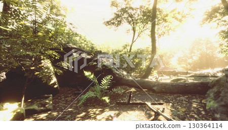 Bright sunlight streams through the dense foliage of a lush forest, illuminating the ground and creating a serene atmosphere. Green ferns and moss covered rocks add to the natural beauty. Bright sunlight streams through the dense foliage of a lush forest, illuminating the ground and creating a serene atmosphere. Green ferns and moss covered rocks add to the natural beauty. 130364114