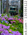 Hydrangeas blooming along the Enoshima Electric Railway line Hydrangeas blooming along the Enoshima Electric Railway line 130364122