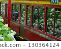 Hydrangeas reflected in the window of a mountain railway Hydrangeas reflected in the window of a mountain railway 130364124