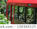 Hydrangeas reflected in the window of a mountain railway Hydrangeas reflected in the window of a mountain railway 130364125