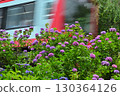 Hydrange with Hydrange and Hydrangea Hydrange with Hydrange and Hydrangea 130364126
