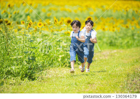 Girls running energetically through a sunflower field 130364179