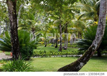 Beautiful garden in Dominican Republic, Caribbean. Beautiful garden in Dominican Republic, Caribbean. 130364194